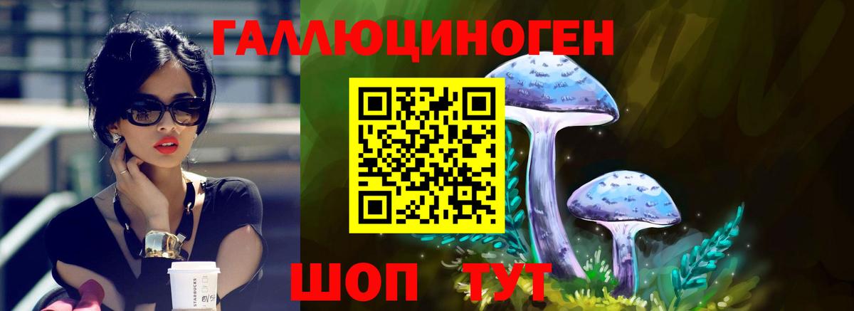 Воскресенск  Псилоцибиновые грибы ЛСД  Вход с VPN 